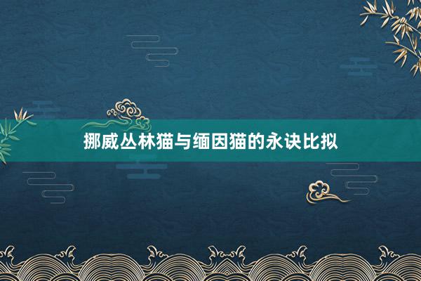 挪威丛林猫与缅因猫的永诀比拟